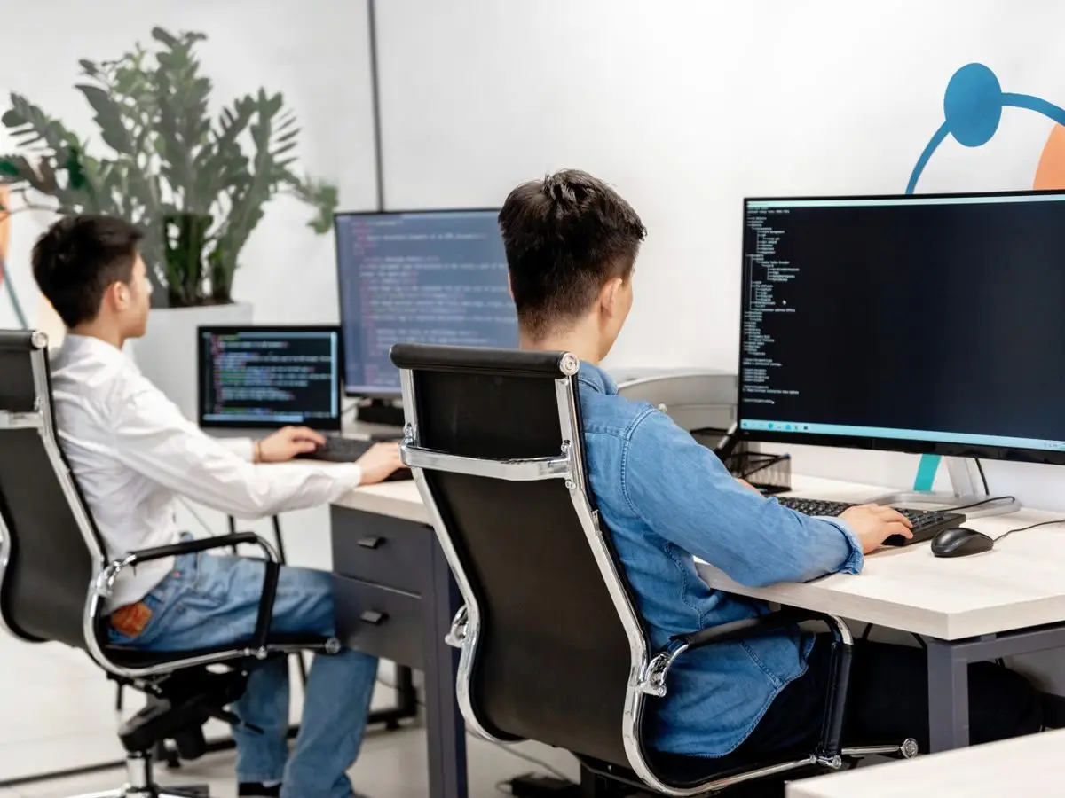 Developers programming at large monitors