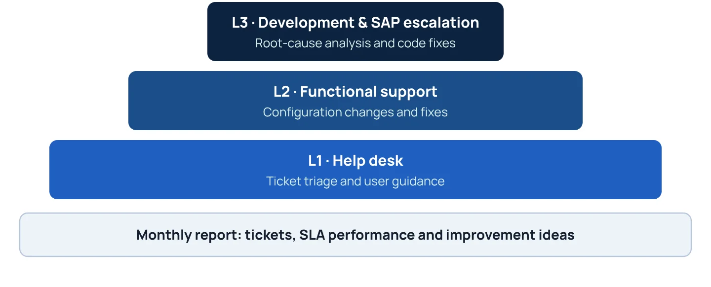 Application Managed Services: three levels of support, with SLA-driven resolution.